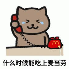 富豪小编